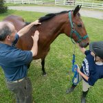 veterinarian and youth with a horse