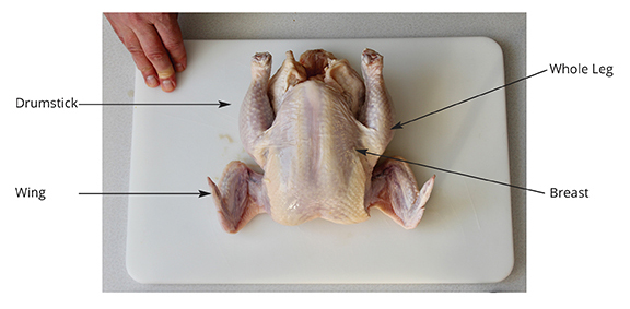Breast Wing Sex Videos - Bulletin #4068, How to Cut Up a Whole Chicken - Cooperative Extension  Publications - University of Maine Cooperative Extension