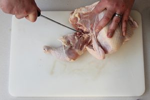 Photo showing how to cut through the joint, separating the leg from the body.