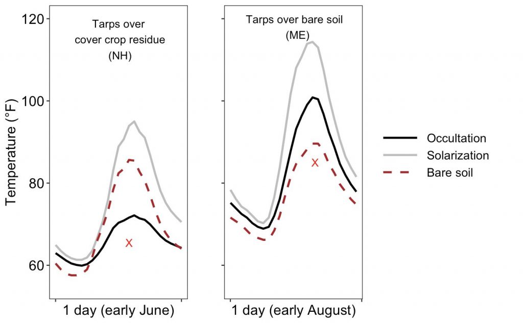 Cgart showing Soil surface temperatures under occultation, solarization, and bare soil in early June and early August.
