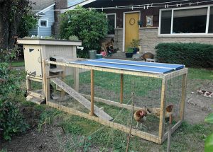 A backyard chicken coop with an attached wire fence around a closed in addition to the coop. There are two hens in the enclosed area.