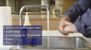 A person washing hands under running water in kitchen sink. Wet hands with warm water, apply soap, scrub hands for 20 seconds, rinse, and dry.