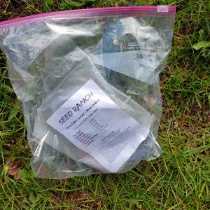 A zip-lock plastic bag containing clover seed.