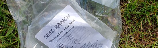 A zip-lock plastic bag containing clover seed.