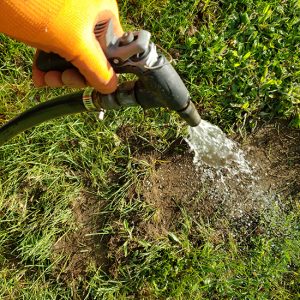 A hand holding a garden hose over the seeded lawn with water coming out of hose..