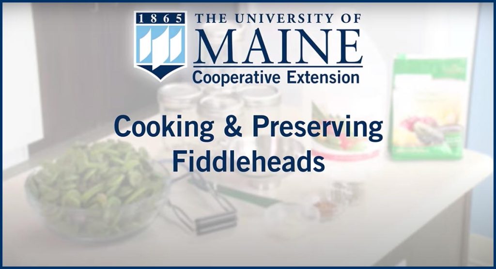 opening slide image for YouTube video on cooking and preserving fiddleheads