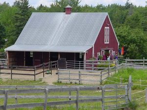 A red horse barn with turnout paddocks.