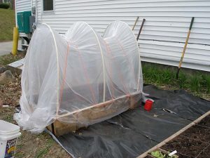 Square foot garden protected with PVC pipe and plastic sitting on a piece of black landscaping fabric. It sits beside a white clapboard house.