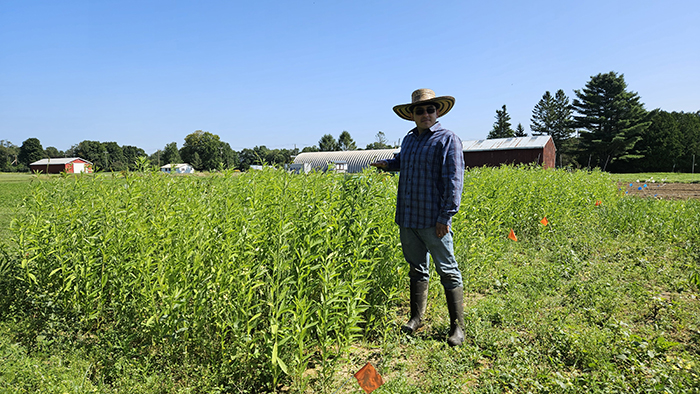 Comparison of height reached by sunn hemp after 60 days of growth and Dr. Jaime Garzon.