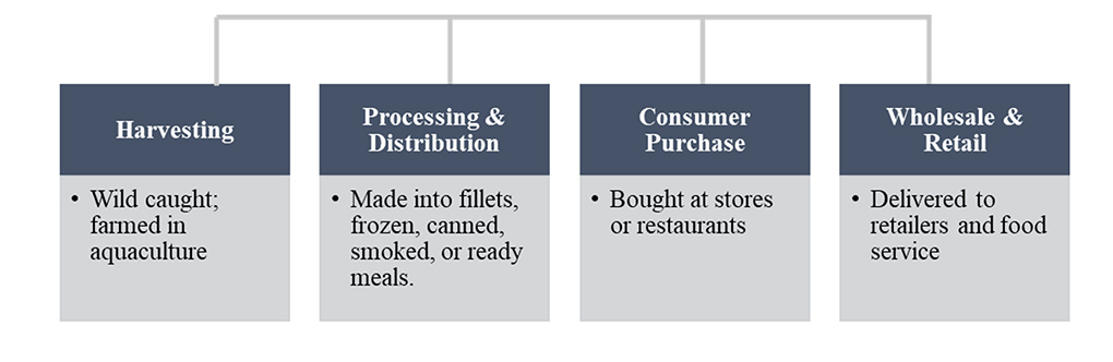 A four-column chart describing harvesting, processing & distribution, consumer purchase, and wholesale & retail.