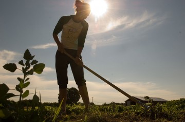 woman hoeing her garden