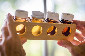 different grades of maple syrup in jars, maple syrup grading kit