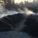 Compost windrow steam Highmoor