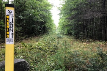 A right-of-way for an underground gas pipeline through the forest that is becoming overgrown