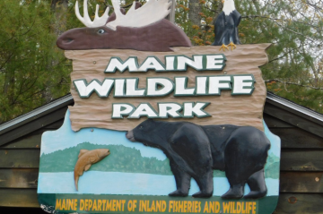 Maine Wildlife Park sign with bear and fish
