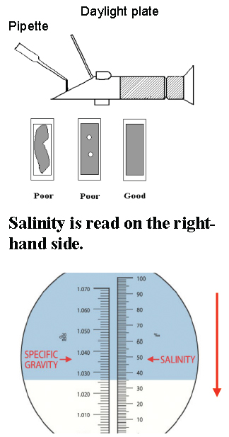 Salinity is read on the right-hand side