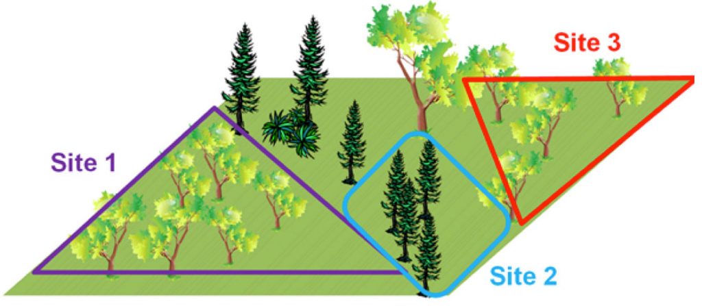 Fig. 1. In this example, the area has been divided into three sites: Site 1 is deciduous forest, Site 2 is conifer forest, and Site 3 is a separate deciduous forest.
