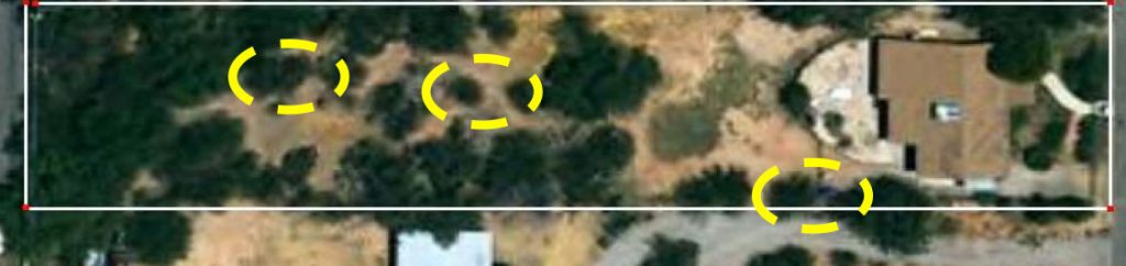 areal view with 3 tree marked for monitoring