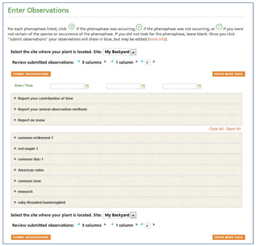 Screen shot showing the Submit button and “Observations successfully saved” message on Observation Data Entry Form