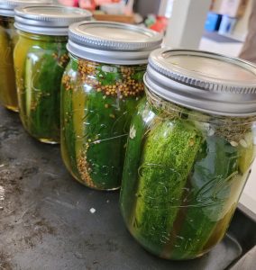 Jars of Pickles