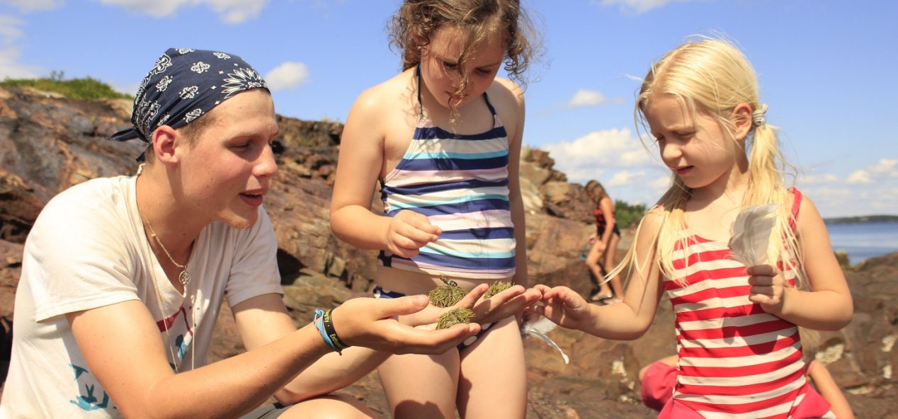 a counselor showing to small children sea creatures