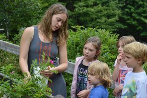 campers learn about wild edibles