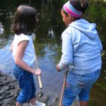 Pond Scooping