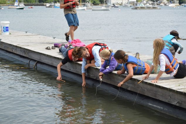campers and camp counselor on dock learning about marine ecology