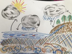 water cycle illustration