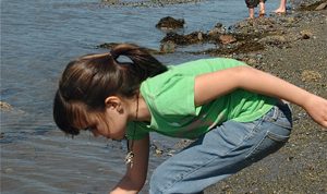 girl exploring the shoreline at Blueberry Cove