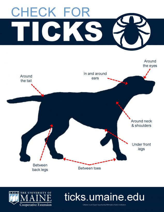 Tick Check - Cooperative Extension: Tick Lab - University of Maine ...