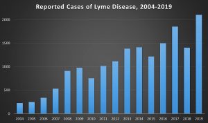 Maine Lyme disease cases