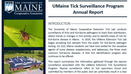 Photo of a Tick Surveillance Report
