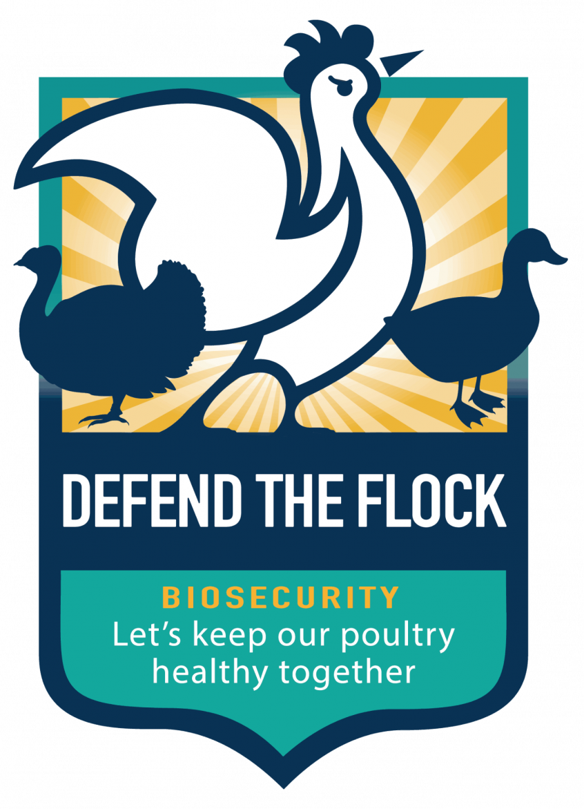 usda-aphis-offers-free-webinar-defend-the-flock-on-september-22-2