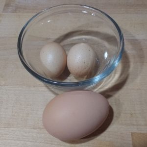 hen eggs