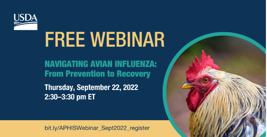 opening slide for USDA Free Webinar, Navigating Avian Influenza and text describing the webinar's information