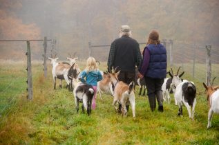 Farm family walking with goast herd
