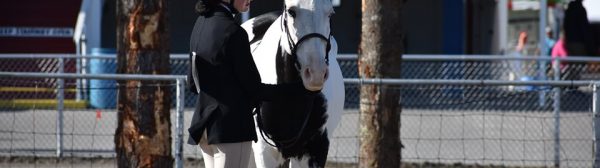 4-H member with horse