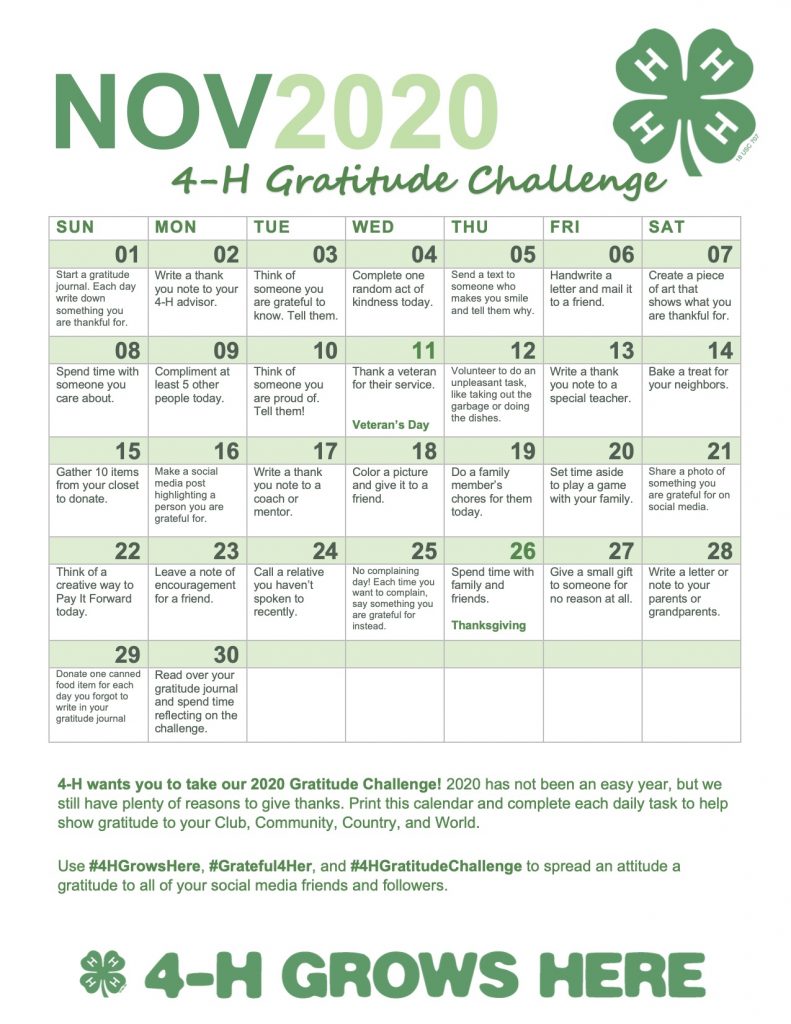 November gratitude challenge calendar