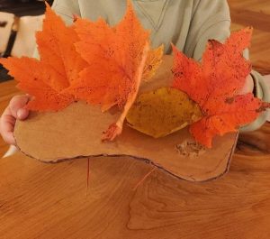 Waldo County Explorers Club