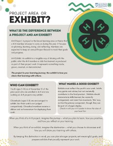 Project Area vs exhibit 