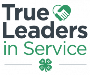 True Leaders in Service Logo