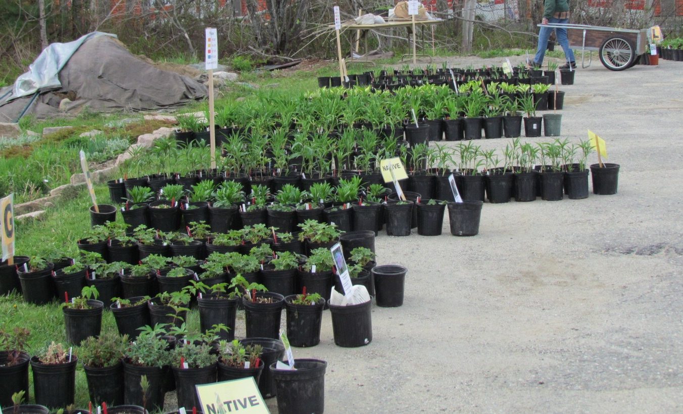 Plant sale in Hancock County