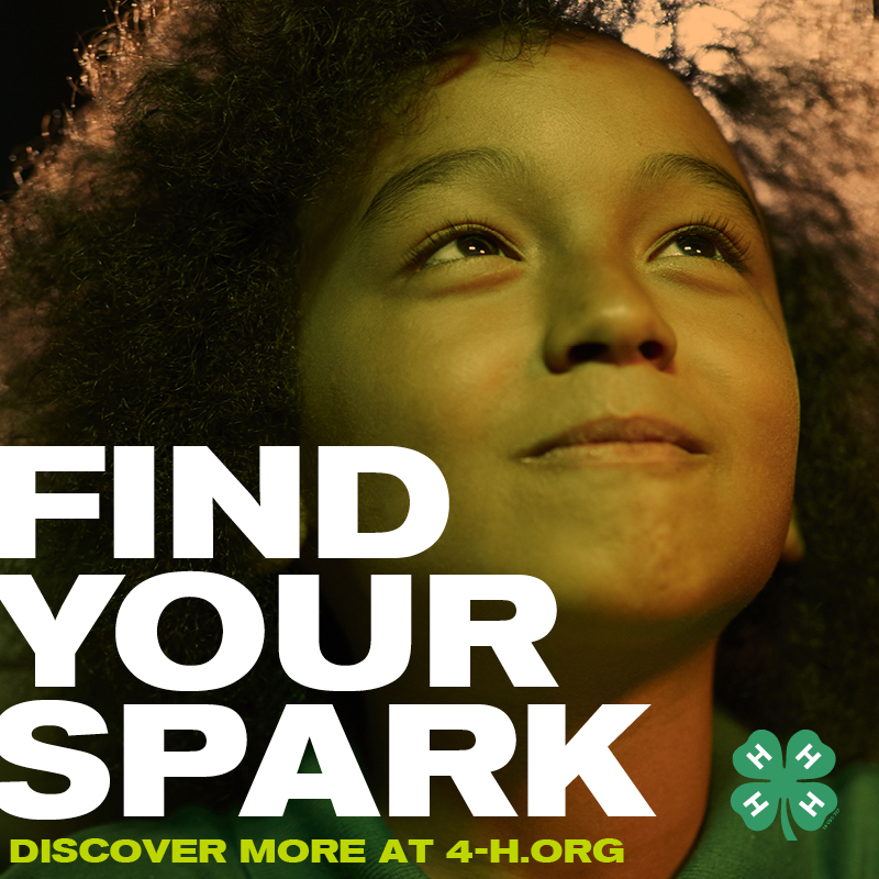 Find Your Spark