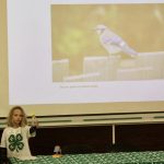 youth giving an illustrated talk about birds