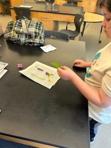 youth pressing flowers