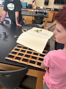youth pressing flowers