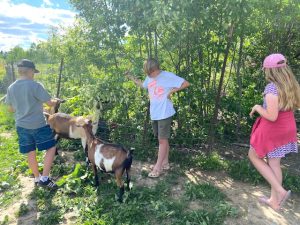 youth with goats