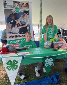 4-H youth at a display table