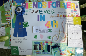 Friends Forever in 4-H poster